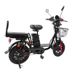 20-inch Ilan Princess II instrument head front and rear oil dish brushless gearless motor lithium battery electric bicycle